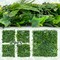 4 Pieces 20"x20" Artificial Boxwood Hedge Panels Faux Greenery Wall Decor for Indoor or Outdoor Use
